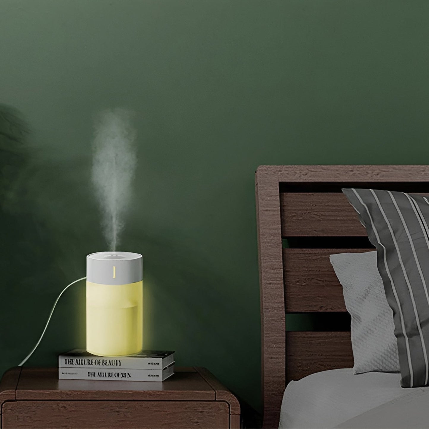 Silent Air Humidifier Essential Oil Diffuser